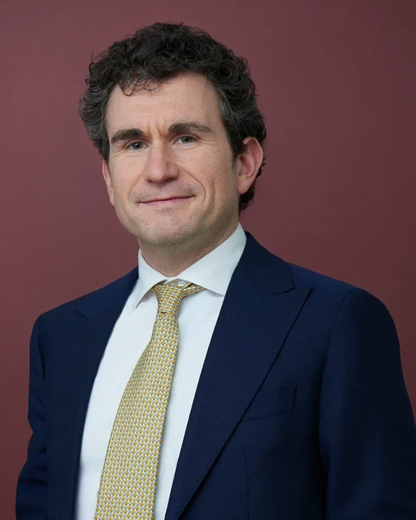 BLV Belvedere & Partners - Avv. Fabrizio Donegani