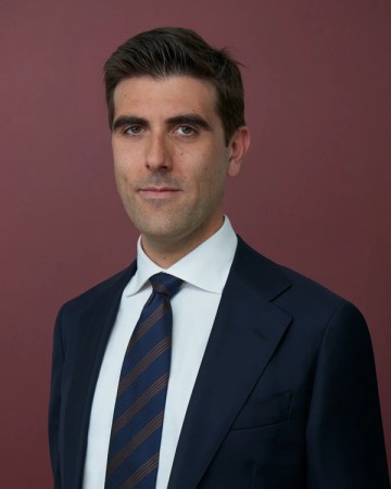 BLV Belvedere & Partners - Avv. Maurizio Malomo